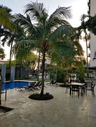 Paradise Palms (D15), Apartment #502012321